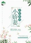 七十年代娇宠小娇妻
