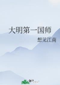 大明第一国师高萧峰