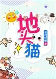 地头猫txt全集无弹窗