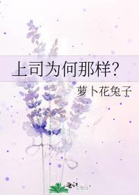 上司为何那样by萝卜花兔子免费阅读