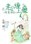 限量婚宠老公别太坏免费阅读