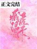 藏匿温柔全文txt