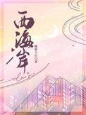 西海岸两片区换热站拟改造