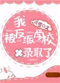 我被反派学校录取了pan
