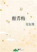 酿青梅蓝汐玥璃的怎么样