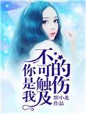 你是我不可触及的伤免费阅读