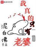 我真的只有一个老婆人物介绍