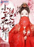 小王妃又被揍啦第二章