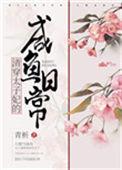 清穿太子妃的咸鱼日常 青析