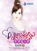 闪婚密令军爷悠着点免费阅读
