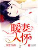 暖妻入怀txt