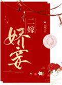 二嫁娇妾 二三意