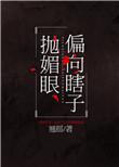 偏向瞎子抛媚眼晋江文学城