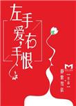 左手爱右手恨的电视剧