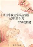 西游记我觉得这西游记哪里不对