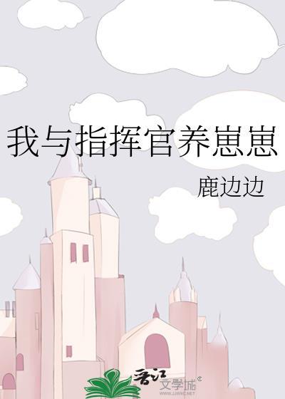 我的指挥官