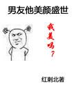 男友他美颜盛世27章