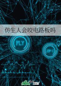 仿生人会遇见电子羊吗在线阅读