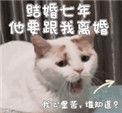 结婚七年他要跟我离婚晋江