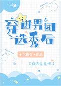 穿进男团选秀后晋江文学城
