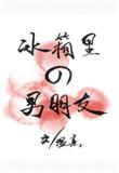 冰箱里的男朋友宝书网