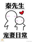 秦先生宠妻日常大结局
