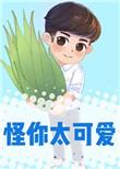 怪你太可爱莫里完结