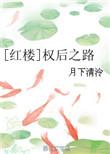 红楼权臣之妻全文免费