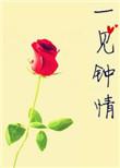 一见钟情在线阅读