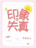 印象失真by毛球球全文免费阅读