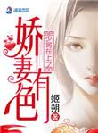 少将在上之娇妻有色完结