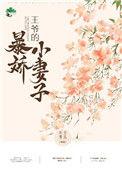王爷的暴娇小妻子东方