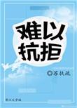 歌词不是我不小心只是真情难以抗拒