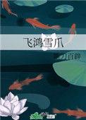 飞鸿雪爪男女主圆房了吗
