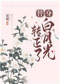 替身白月光转正了书包网