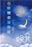 白砂糖是什么意思