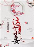 这个小妾不一般讲的什么故事