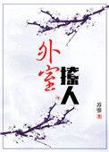 外室撩人 作者苏鎏