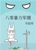 八零暴力军嫂txt