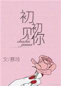 初初见你出版书番外