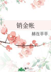 销金帐txt百度