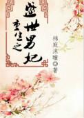 重生之盛世男妃番外