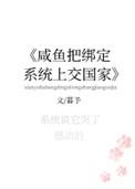333、咸鱼把绑定系统上交了[未来