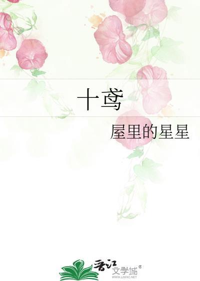 十鸢屋里的星星免费阅读