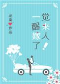 一觉醒来嫁人了龙柒晋江