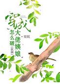 穿成大佬姨娘怎么破完整版免费阅读