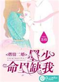 墨少的闪婚秘爱