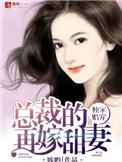 总裁的独家娇妻
