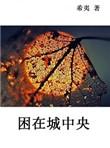 困在城中央书包网