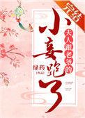 夫人跟老爷的小妾跑了晋江